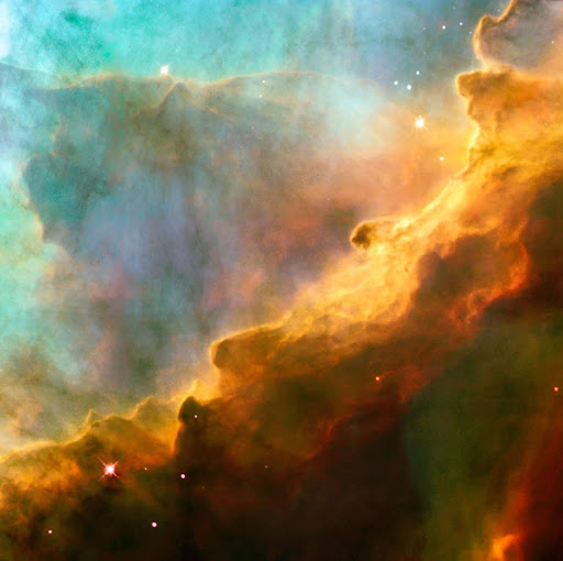 Andrea Joseph Photo 8