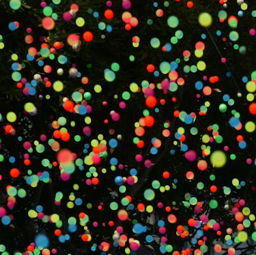 Tracy Mcelroy Photo 5