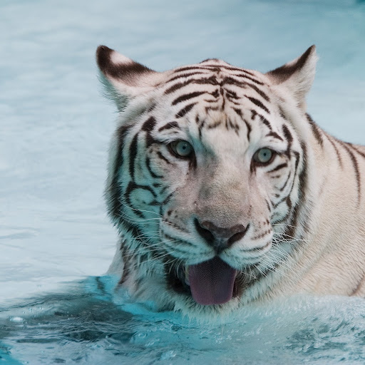 Matthew Stroud Photo 31