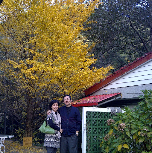 Mei Tang Photo 36
