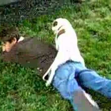 Claire Meyer Photo 15