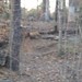 Ryan Lay Photo 8