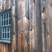 Kirsten Webb Photo 15