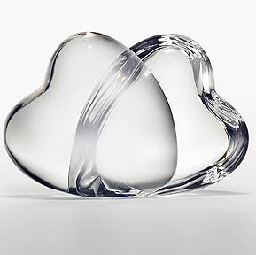 Rajul Patel Photo 17 Rajul Patel Photo 17