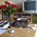 Christine Skidmore Photo 23