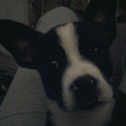 Vicki Patrick Photo 38