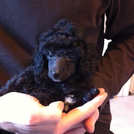 Brian Washburn Photo 29