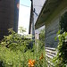 Cheryl Land Photo 18