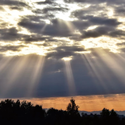 Cesar Garcia Photo 43 Cesar Garcia Photo 43