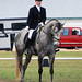 Elaine Taylor Photo 20
