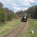 Donald Downs Photo 16