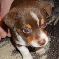 Allen Anthony Photo 11