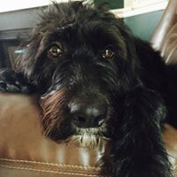 Sherri Mcdaniels Photo 2