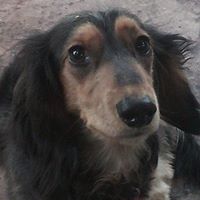 Lynne Weber Photo 21