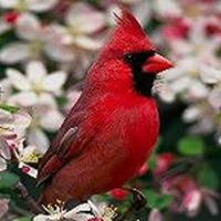 Barbara Marker Photo 4