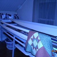 Nancy Nance Photo 20