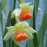 Julie Huffman Photo 32