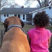 Renee Ross Photo 6