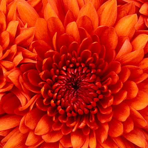 Teresa Settle Photo 16