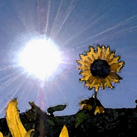 Beverly Graham Photo 8