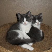 Kimberly Hurley Photo 44