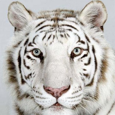 Jonathan Delvalle Photo 8