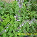 Phyllis Minter Photo 14