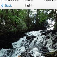Judy Wiley Photo 18