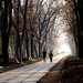 Carol Alley Photo 14