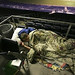 Rick Roberson Photo 14