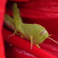 Richard Downes Photo 32