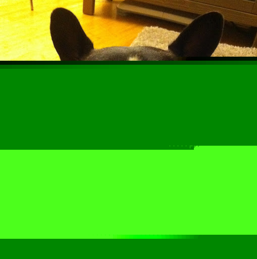 Julie Sauer Photo 35