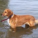 Brandy Lake Photo 20