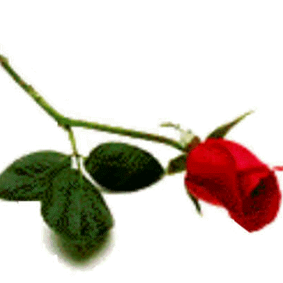 Andrea Distefano Photo 9