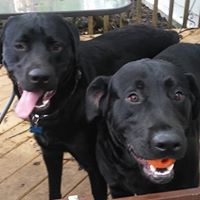 Jason Eagle Photo 12