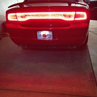 Jaime Ruiz Photo 20 Jaime Ruiz Photo 20