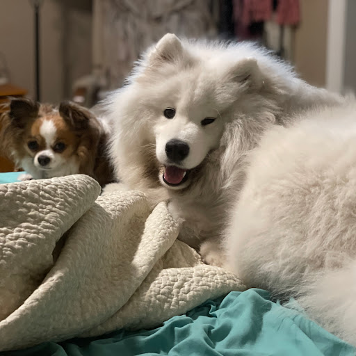 Charlene Small Photo 14