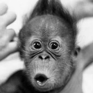 Fabian Villanueva Photo 5