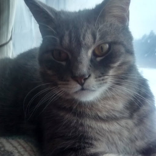 Theresa Wilcox Photo 4