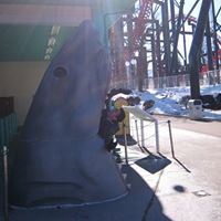 Chien Nguyen Photo 8