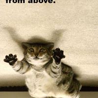 Derek Meyer Photo 23