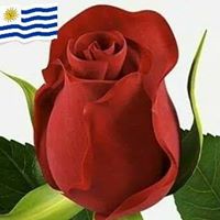 Silvia Miller Photo 14