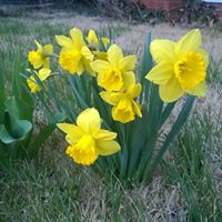 Drew Gruber Photo 15