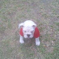 Gerald Fleming Photo 36 Gerald Fleming Photo 36