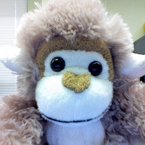 Robert Sproul Photo 35