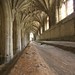 Carol Lacy Photo 33
