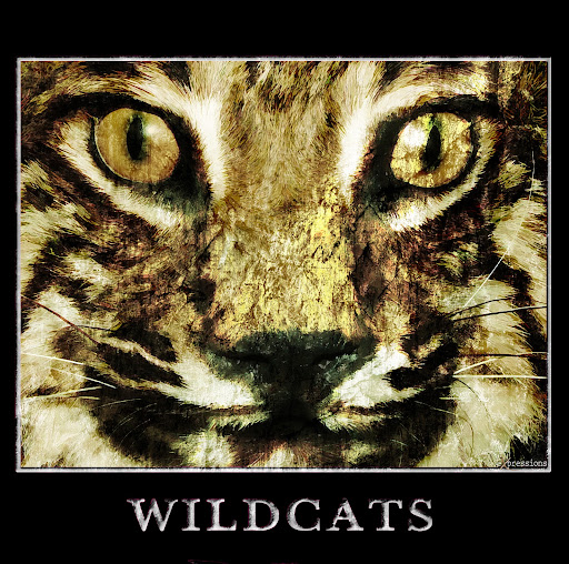 Michael Spangler Photo 46