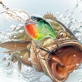 Davis Erickson Photo 11