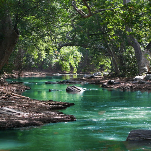 Mike Connell Photo 52