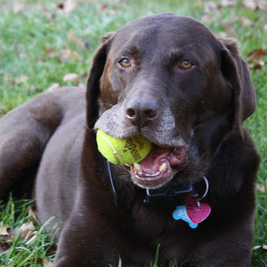 Jeff Heckman Photo 12